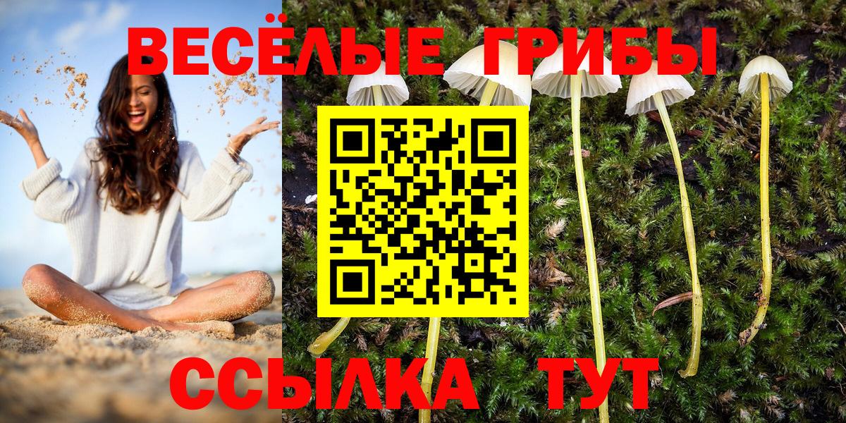 Псилоцибиновые грибы мицелий Донецк
